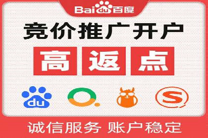 案例分析：百度推广成功案例解析